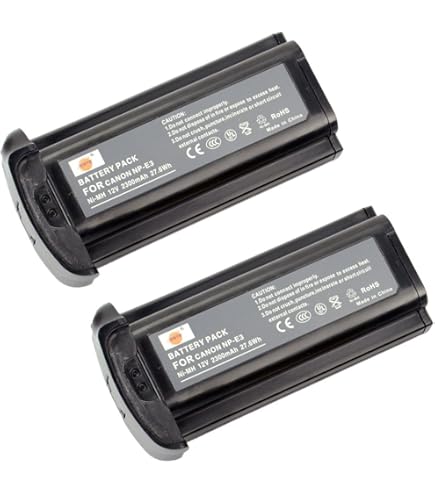 Amazon.com : DSTE Replacement for NP-E3 Ni-MH Battery Compatible